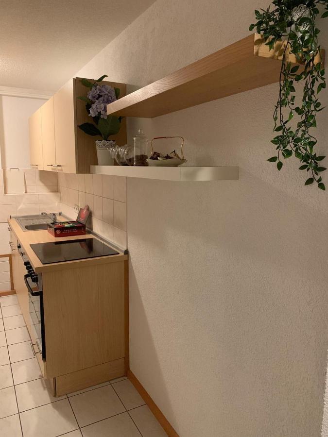 Holiday Home Nahe Europapark Lahr  Eksteriør bilde
